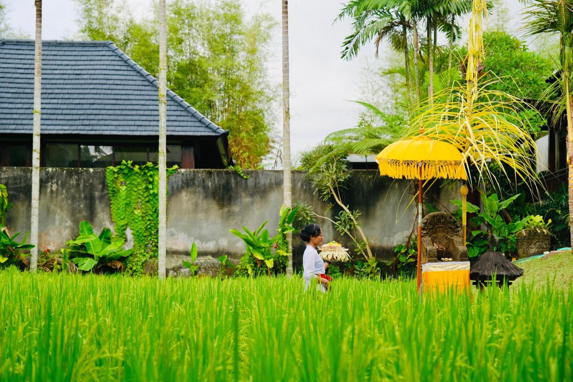 Wana Karsa The Villas Ubud Exteriör bild